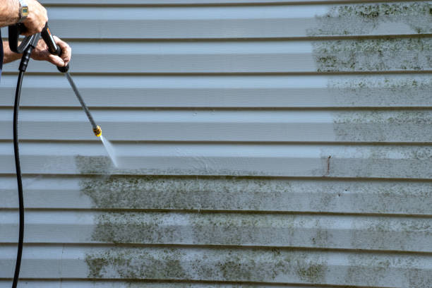 Best Demolition Debris Removal  in Santa Teresa, NM